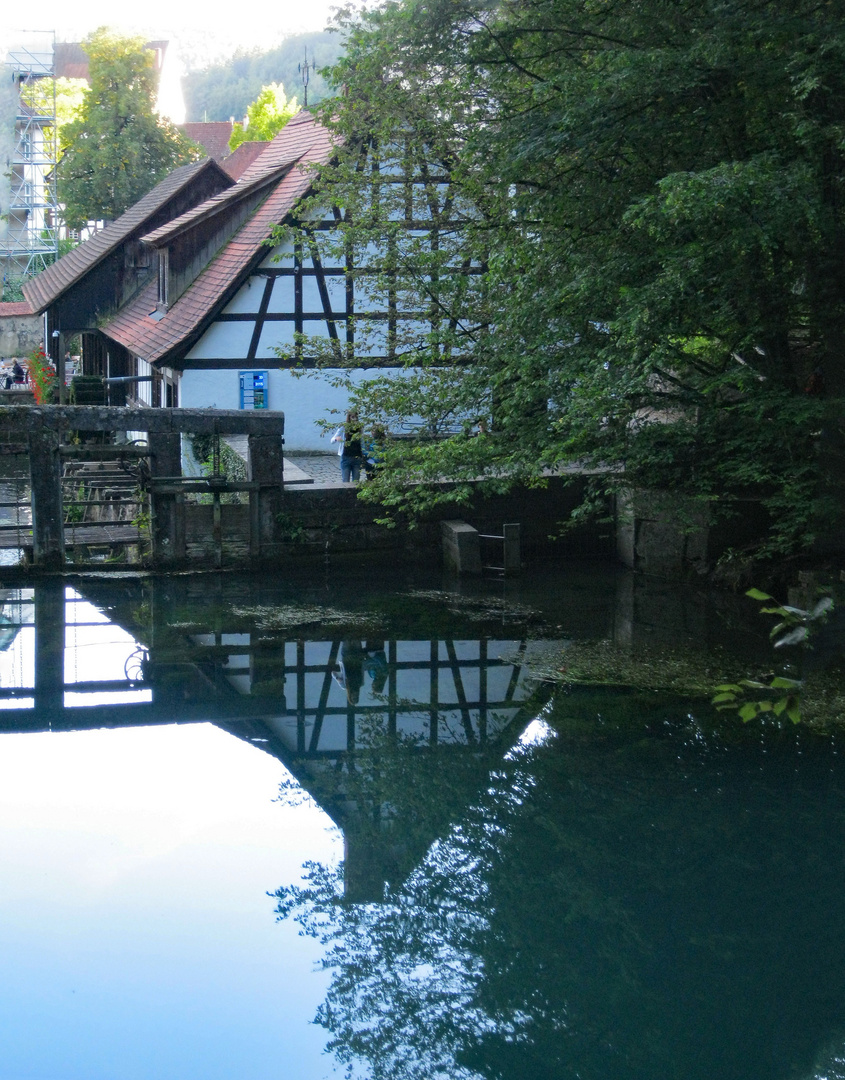 Spiegelung am Blautopf