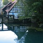 Spiegelung am Blautopf