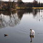 Spiegelung am Dorfteich