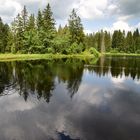 Spiegelung am Etang de la Gruère