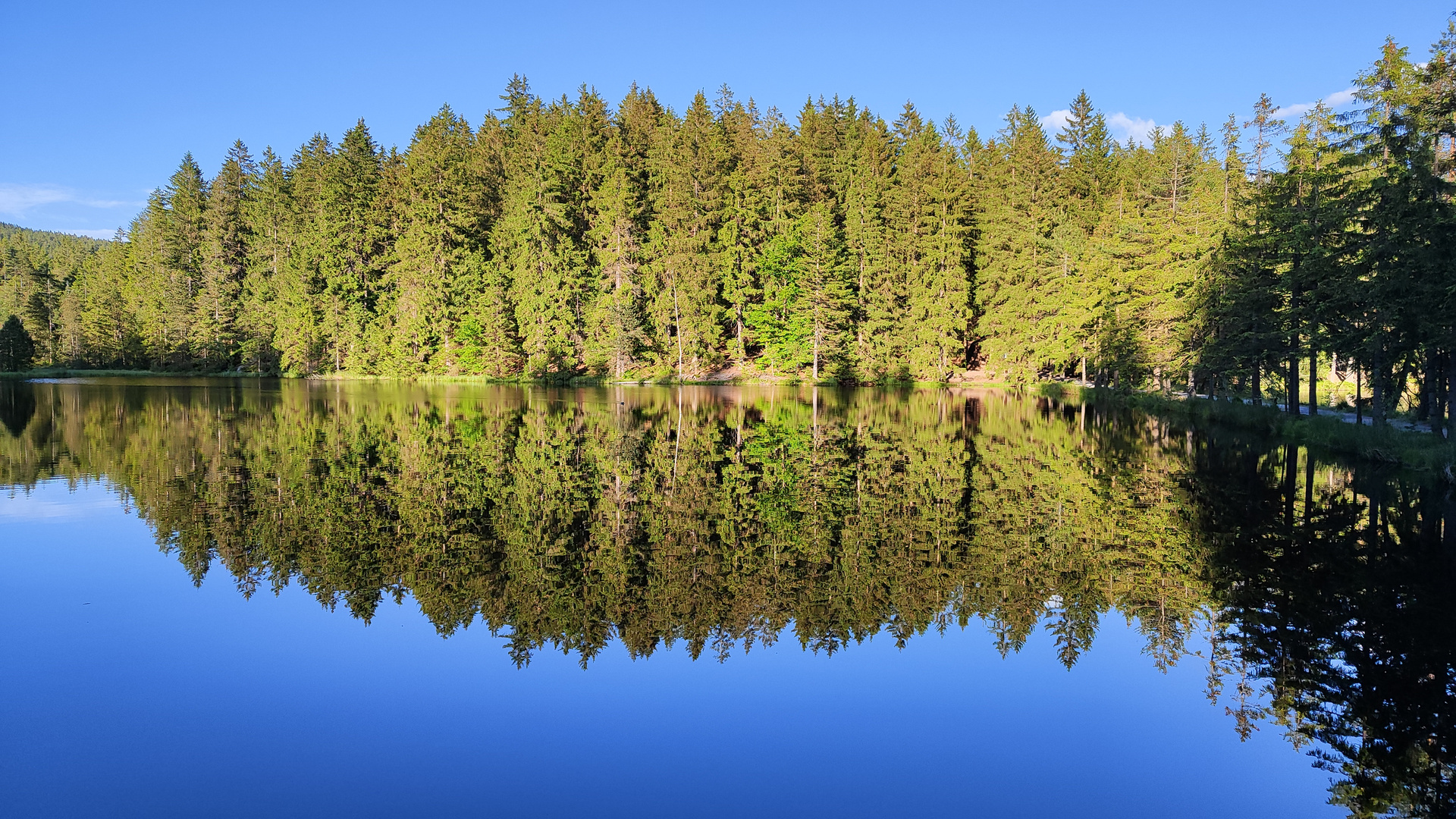 Spiegelung am Fichtelsee