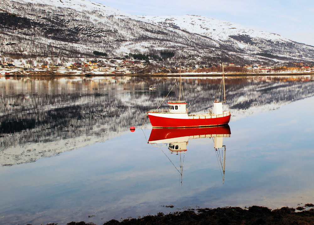 Spiegelung am Fjord (5)