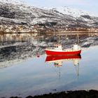 Spiegelung am Fjord (5)