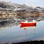 Spiegelung am Fjord (5)