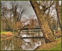 Spiegelung am Fluss