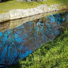 Spiegelung am Fluss Ufer