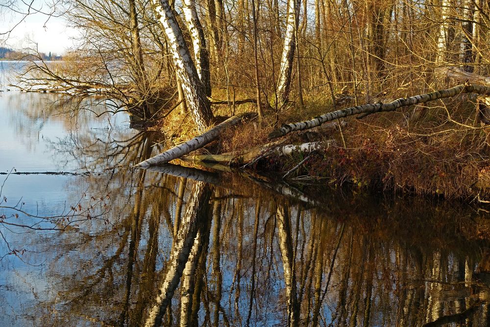 Spiegelung am Greifensee