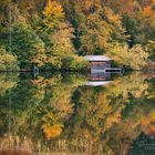 Spiegelung am Haarsee