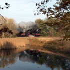 Spiegelung am Hauenhofer Teich