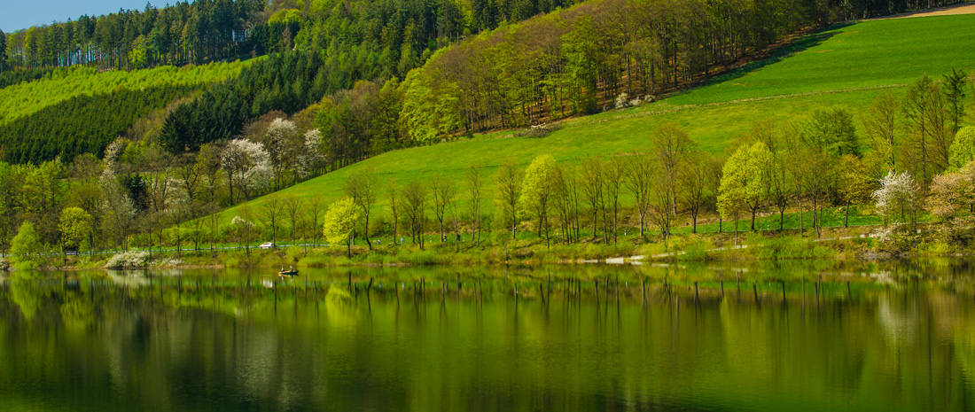 Spiegelung am Hennesee