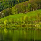 Spiegelung am Hennesee