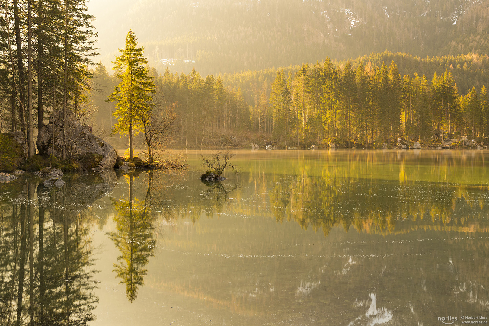 Spiegelung am Hintersee