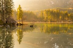 Spiegelung am Hintersee