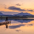 Spiegelung am Hopfensee