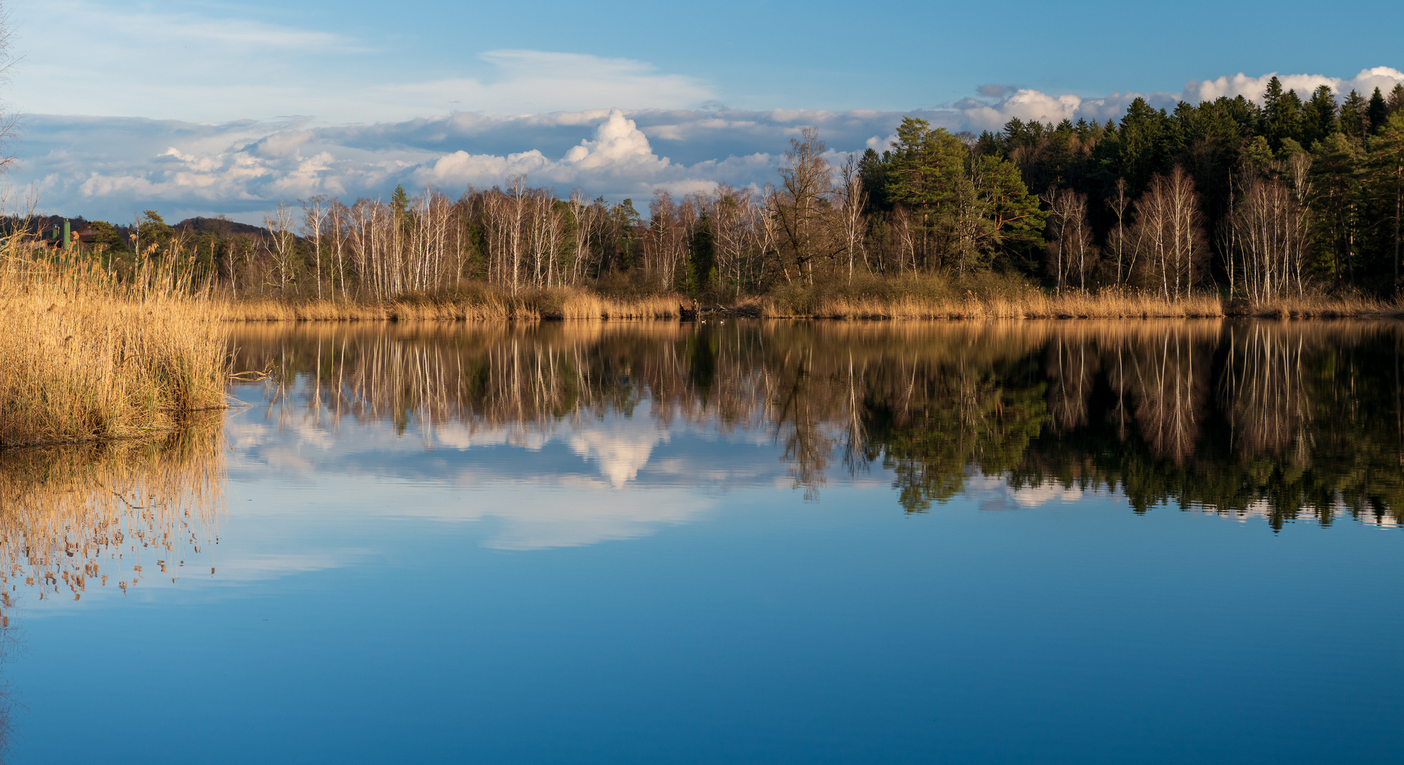 Spiegelung am Husemersee