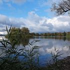 Spiegelung am Kleinen Plöner See