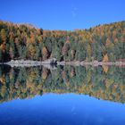 Spiegelung am Lago di Saoseo