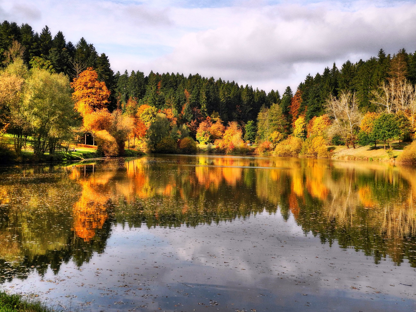 Spiegelung am Leinecksee