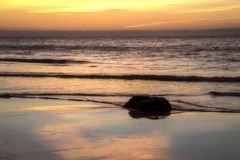 Spiegelung am Meeresstrand