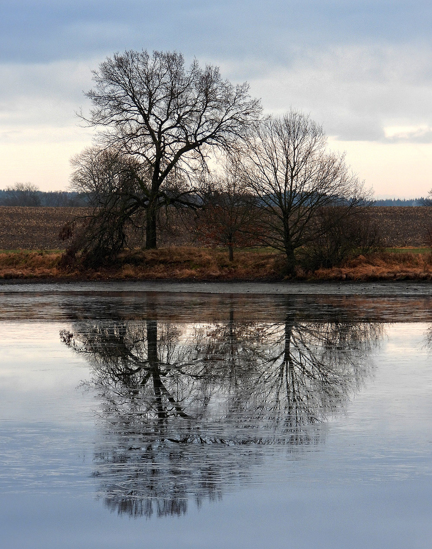 Spiegelung am Moosteich 