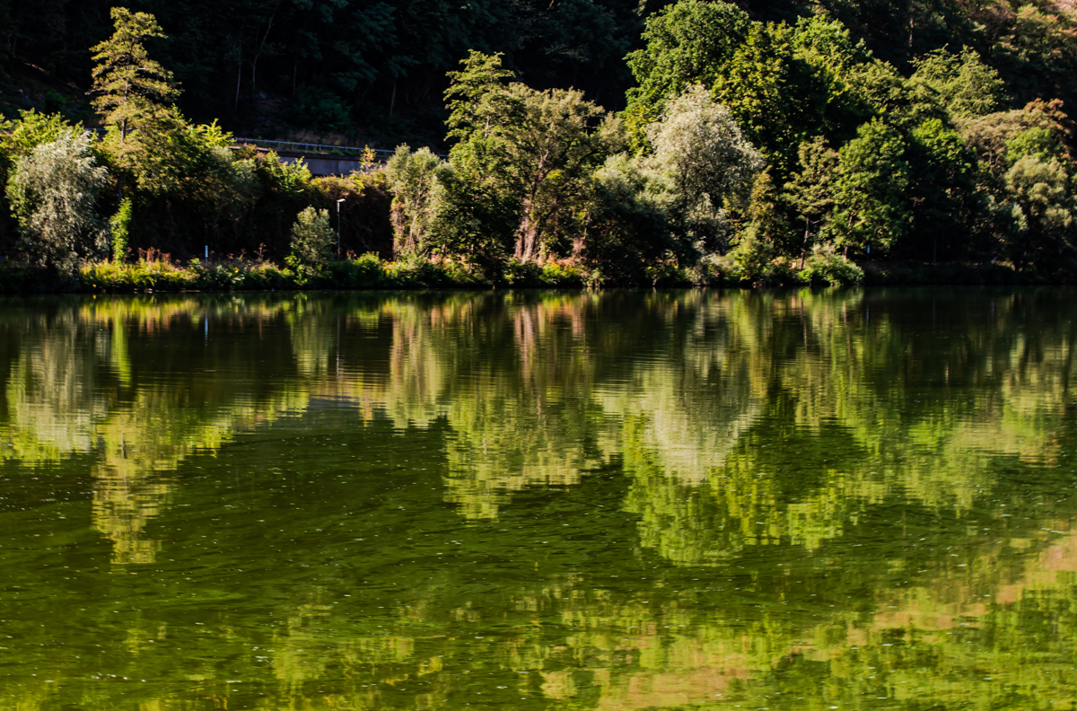 Spiegelung am Morgen 0903-2