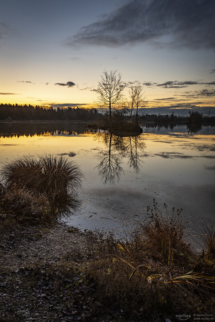 Spiegelung am Morgen