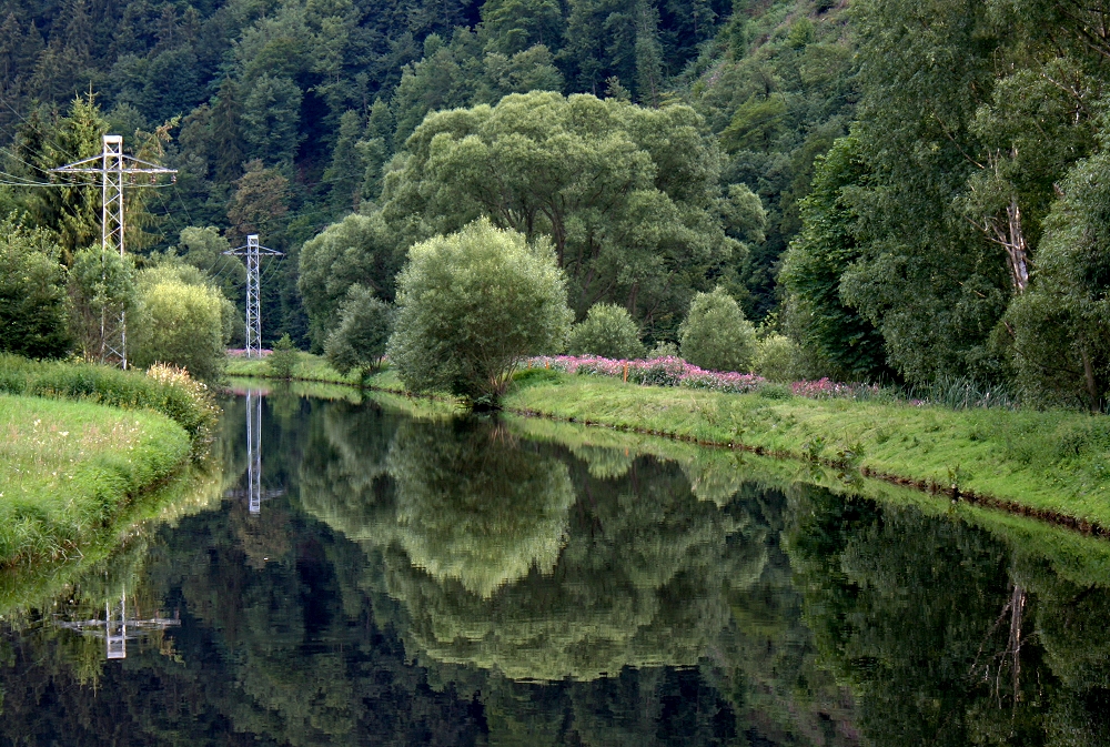 Spiegelung am Mühlgraben