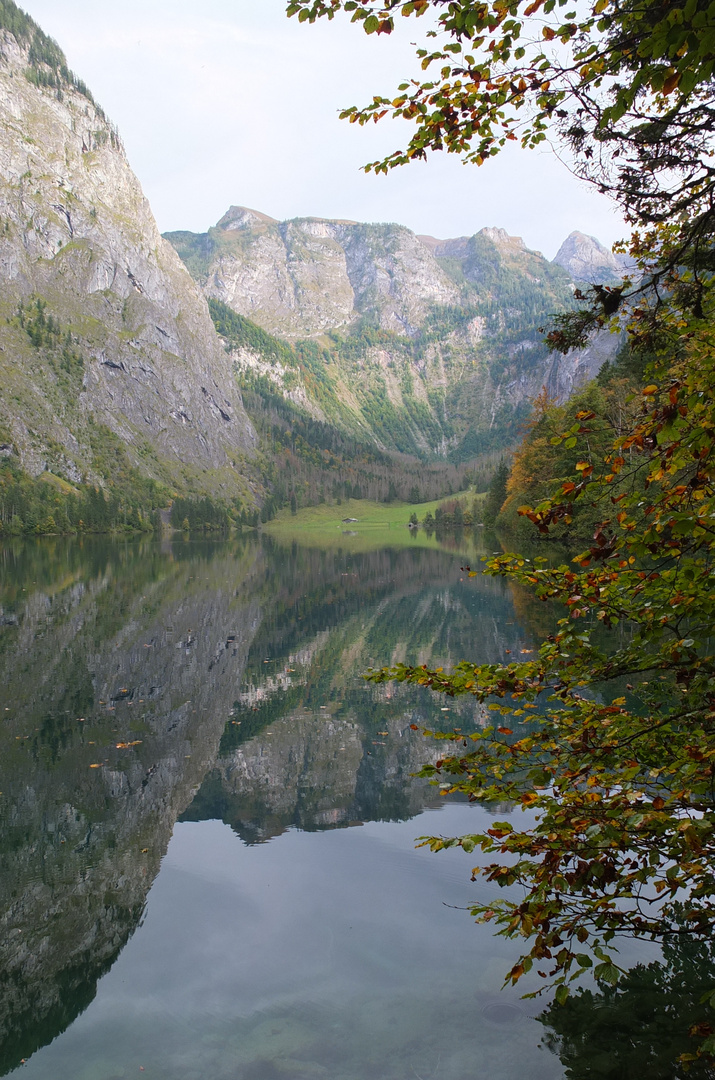 Spiegelung am Obersee vom Königssee