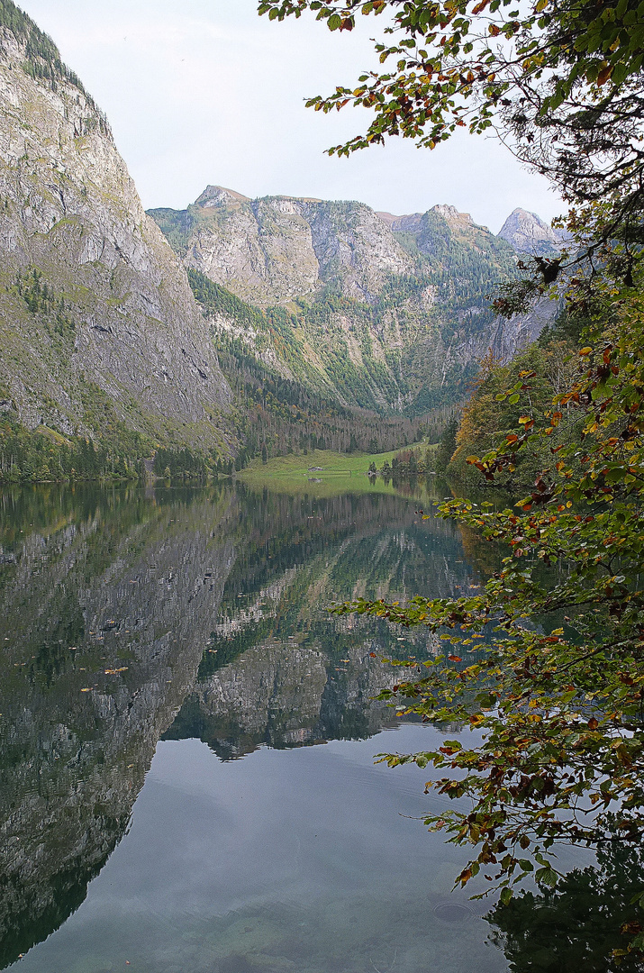 Spiegelung am Obersee vom Königssee III