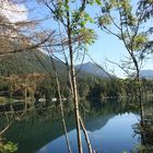 Spiegelung am Obersee/Berchtesgaden