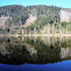 Spiegelung am Ödensee 