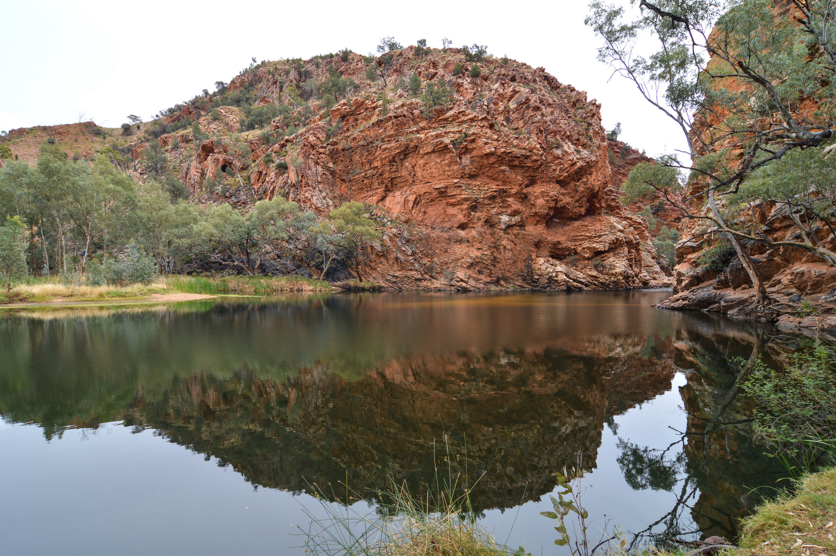 Spiegelung am Ormiston Gorge