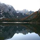 Spiegelung am Pragser Wildsee (Südtirol)