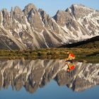 Spiegelung am Salfeinssee