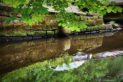 Spiegelung am Schwanenweiher bei der Klugischen Mühle