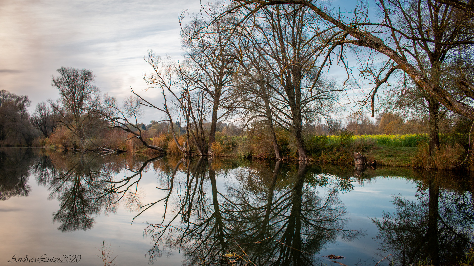 Spiegelung am See 