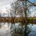 Spiegelung am See 