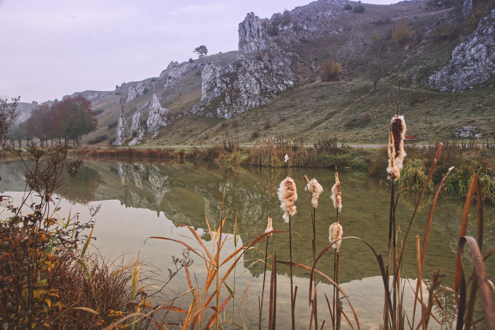 Spiegelung am See