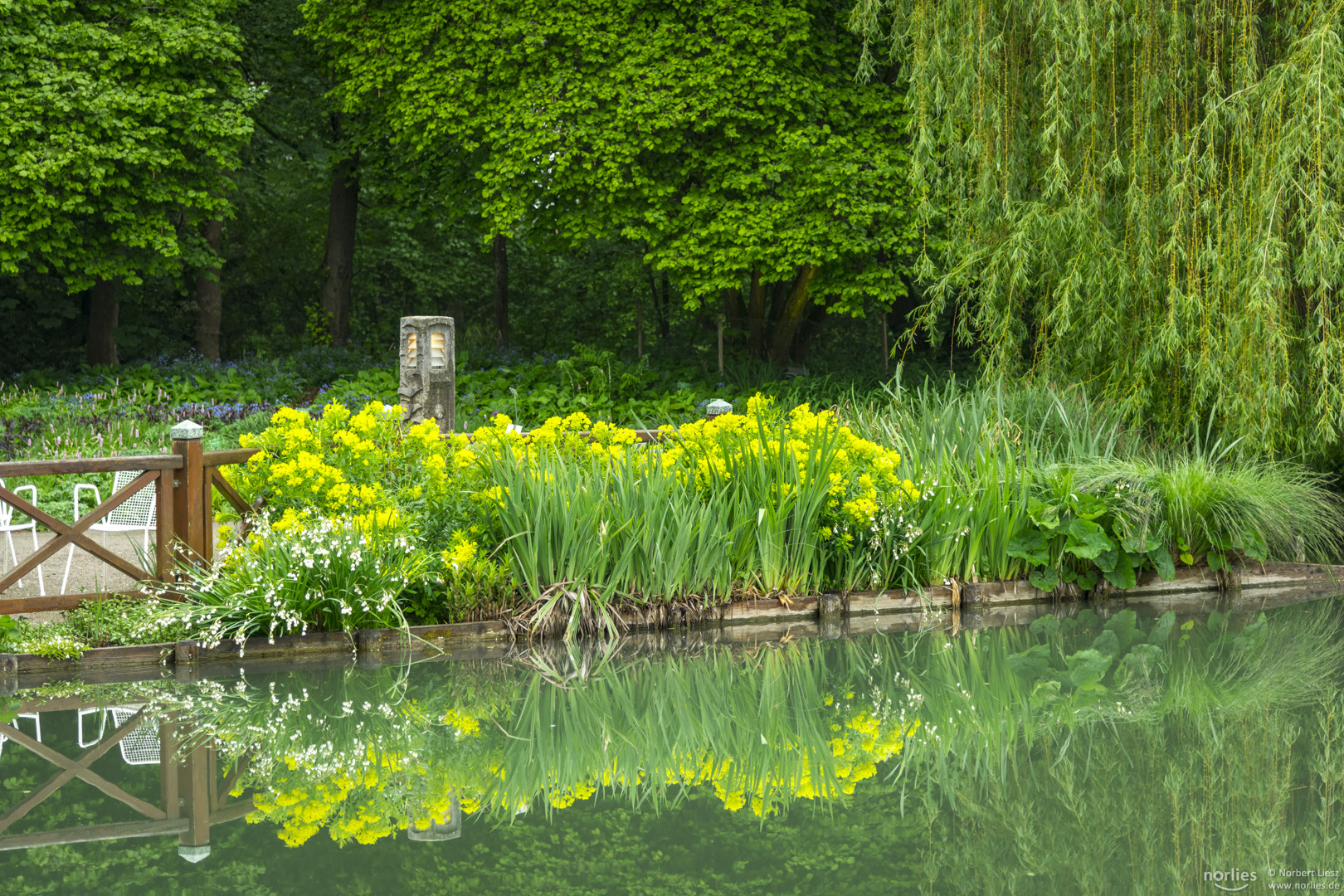 Spiegelung am See