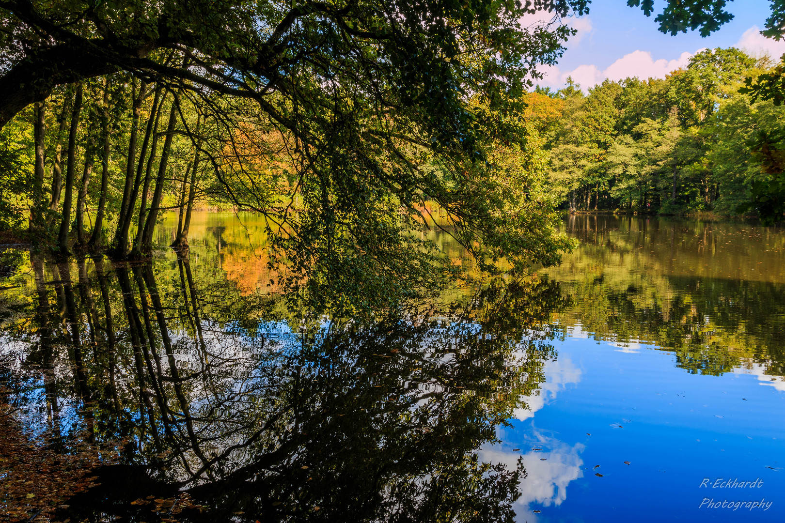 Spiegelung am See