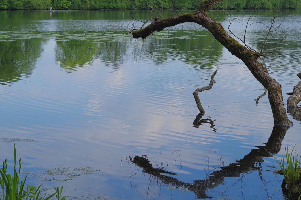 Spiegelung am See