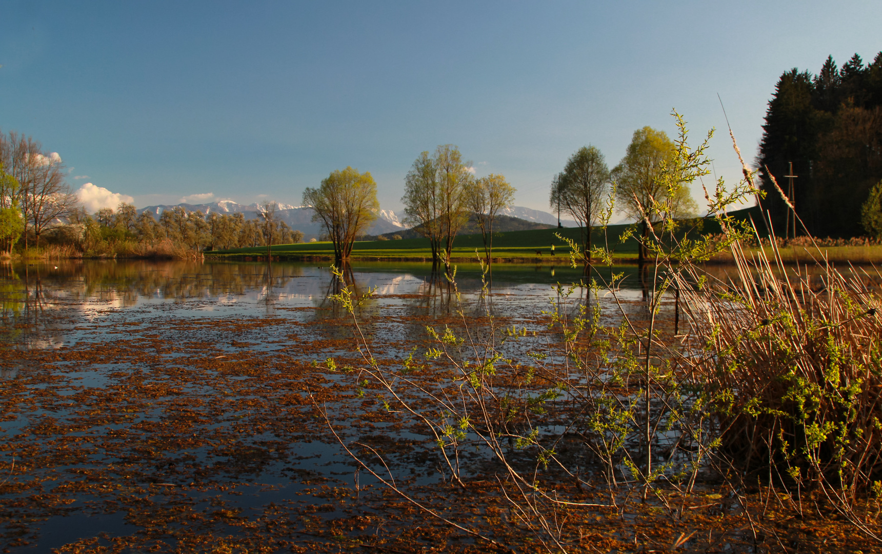 Spiegelung am See