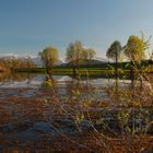 Spiegelung am See