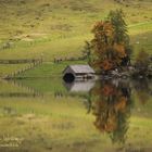 Spiegelung am See