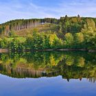 Spiegelung am See