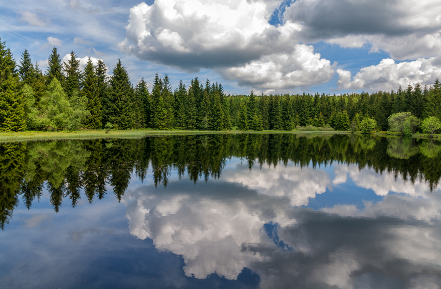 Spiegelung am See