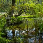 Spiegelung am See