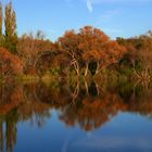 Spiegelung am See