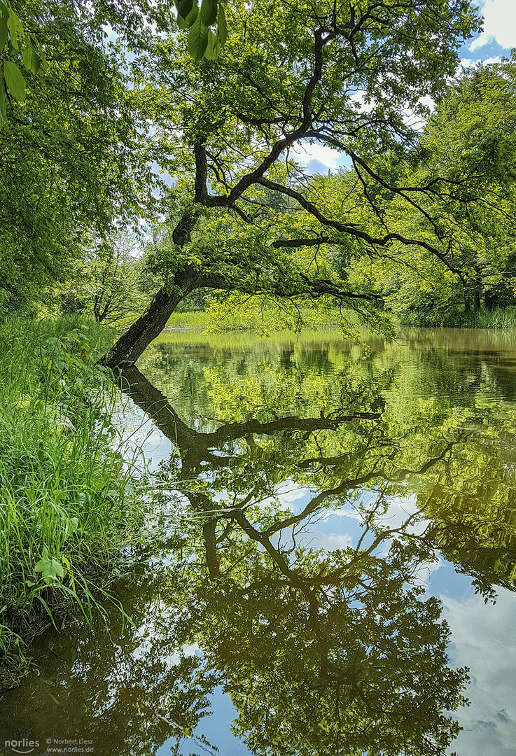 Spiegelung am See