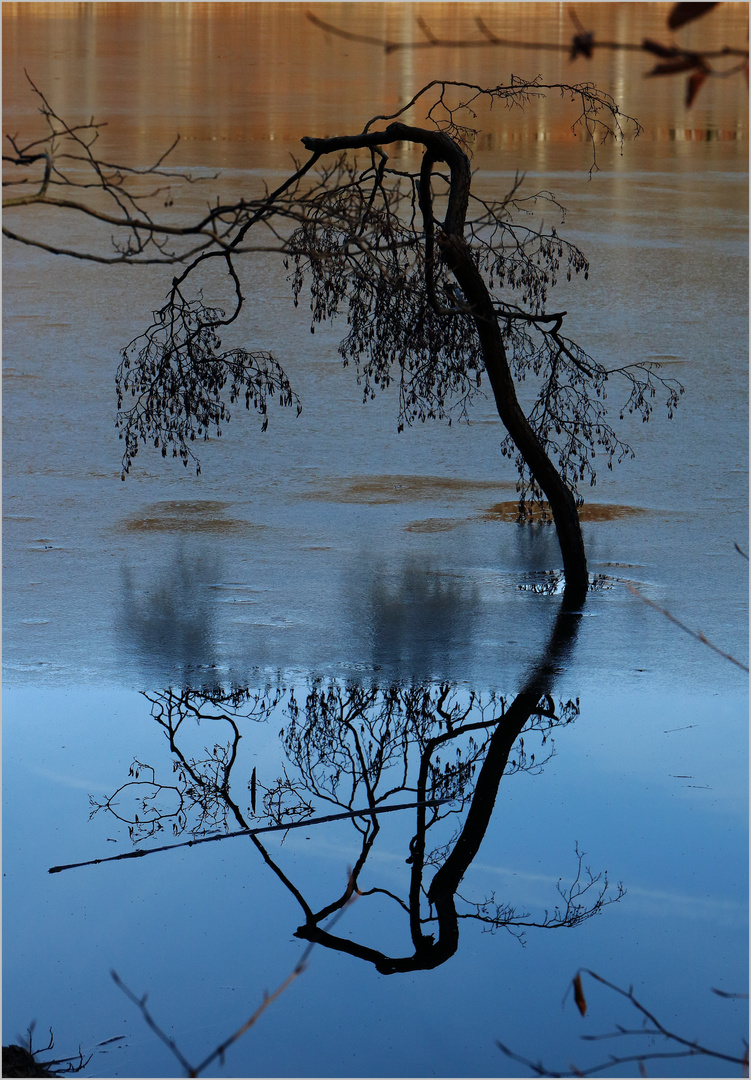 Spiegelung am See